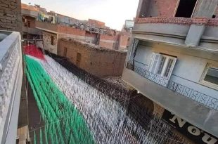 417519715 10161838619561133 2588167731621903758 n المصريون يتخذون أعلام فلسطين زينةً لرمضان هذا العام