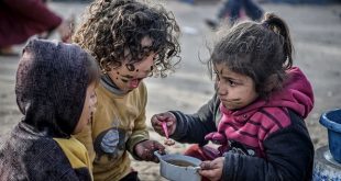 تفاقم المجاعة في غزة