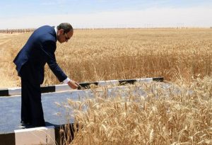 موسم الحصاد وجهاز مشروع مستقبل مصر