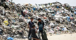 1 1721562 «الأونروا»: مخاطر بيئية في غزة ناتجة عن أكثر من 330 ألف طن من النفايات المتراكمة