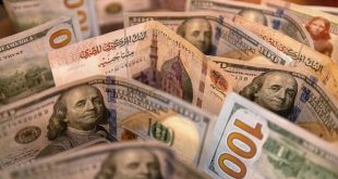 سعر الدولار أمام الجنيه المصري اليوم