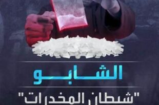 جريمة المحلة بسبب مخدر الشابو