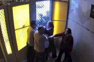 فيديو الاعتداء على سيدات المنصورة