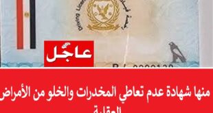 0987 الداخلية تعدل اشتراطات الحصول على رخصة قيادة السيارة وتشترط شهادة خلو من تعاطي المخدرات والأمراض العقلية