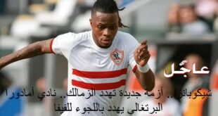 شيكو بانزا لاعب الزمالك
