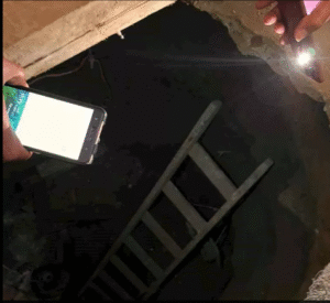 Screenshot 2025 09 21 150250 حفروا سرداب وأنفاق تحت المكتب للبحث عن الآثار.. حبس 4 موظفين في مكتب صحة دشنا
