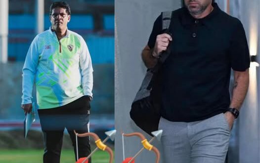 أيمن الرمادي يهاجم يانيك فريرا