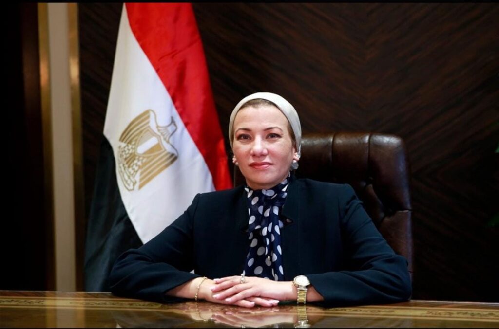 ياسمين فؤاد