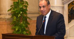 مصر تشيد بقرار وقف إطلاق النار في سوريا