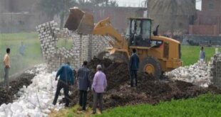 التنمية المحلية تزيل التعديات