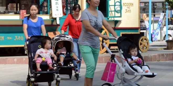 الصين تسعى لزيادة المواليد