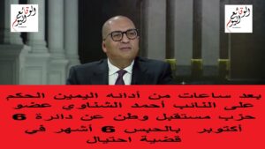 النائب أحمد الشناوي عضو مستقبل وطن