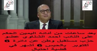 النائب أحمد الشناوي عضو مستقبل وطن