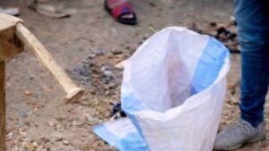 أجولة بها أجنة