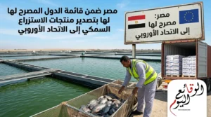 مصر تصدر منتجات الاستزراع السمكي إلى الاتحاد الأوروبي