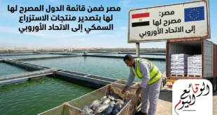 مصر تصدر منتجات الاستزراع السمكي إلى الاتحاد الأوروبي