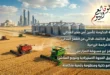 خطة الحكومة لتأمين أمن مصر الغذائي