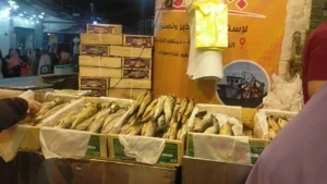 أسعار الرنجة