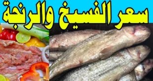 أسعار الفسيخ والرنجة