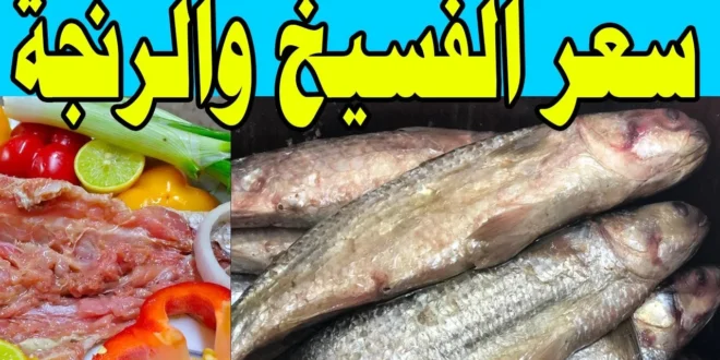 أسعار الفسيخ والرنجة