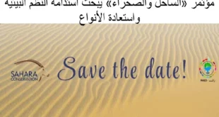 13455 تنظمه شبكة «رائد» لأول مرة في مصر.. مؤتمر «الساحل والصحراء» يبحث استدامة النظم البيئية واستعادة الأنواع