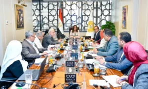 اجتماع وزيرة التنمية مع قيادات الوزارة