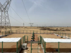 شاتر الكلاب الضالة بالعاشر من رمضان1