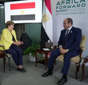 السيسي في قمة أفريقيا - فرنسا 2