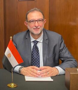 الدكتور طارق الهوبي رئيس الهيئة القومية لسلامة الغذاء