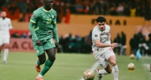 من هو بطل أمم إفريقيا 2025