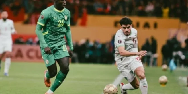 من هو بطل أمم إفريقيا 2025