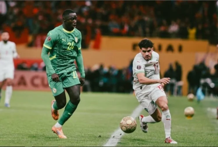 من هو بطل أمم إفريقيا 2025